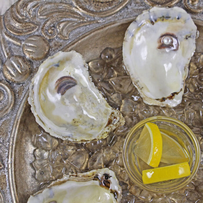 Faux Silver Oyster Plate with Real Oyster Shell Wells