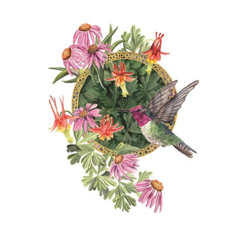 Print of hummingbird and flowers