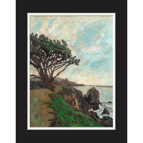 Matted Print of a Monterey cypress tree on the California coast