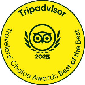 trip advisor best of the best